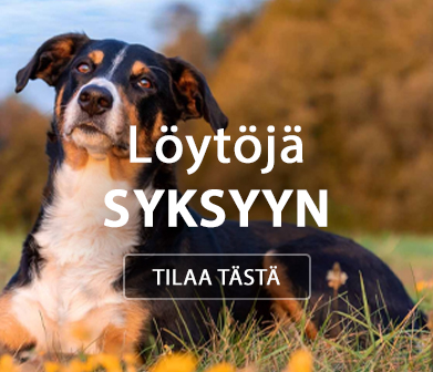 Etusivu, Syksy