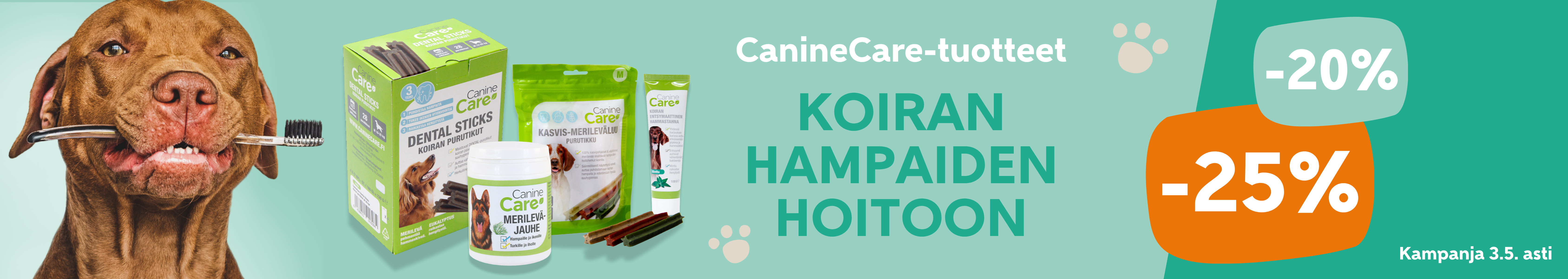 Hampaidenhoito huhtikuu