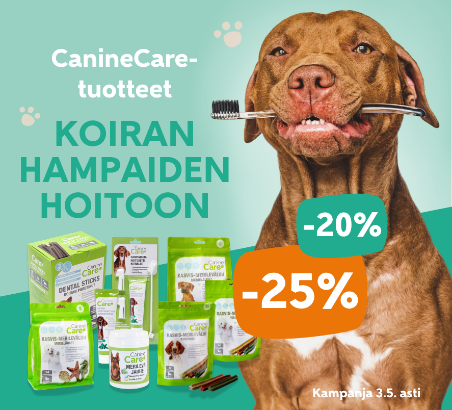 Hampaidenhoito huhtikuu