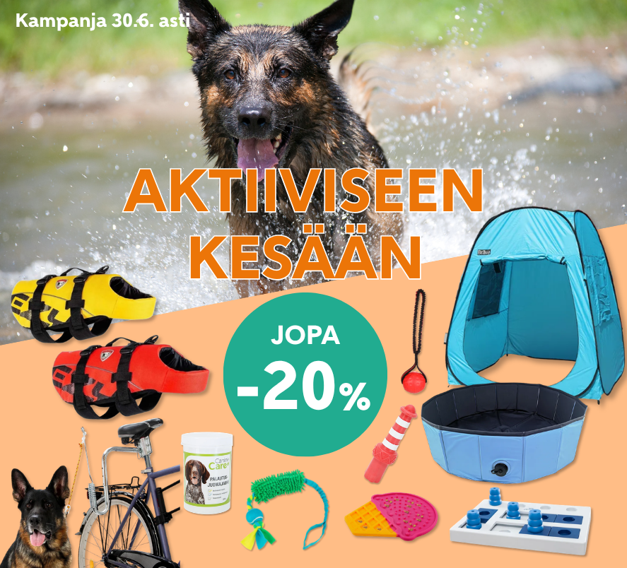 Aktiiviseen kesään