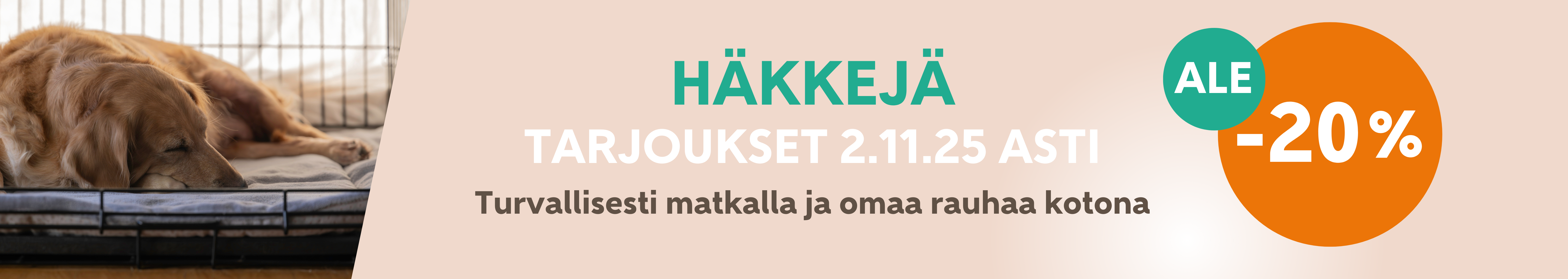 Turvaa kotiin & reissuun