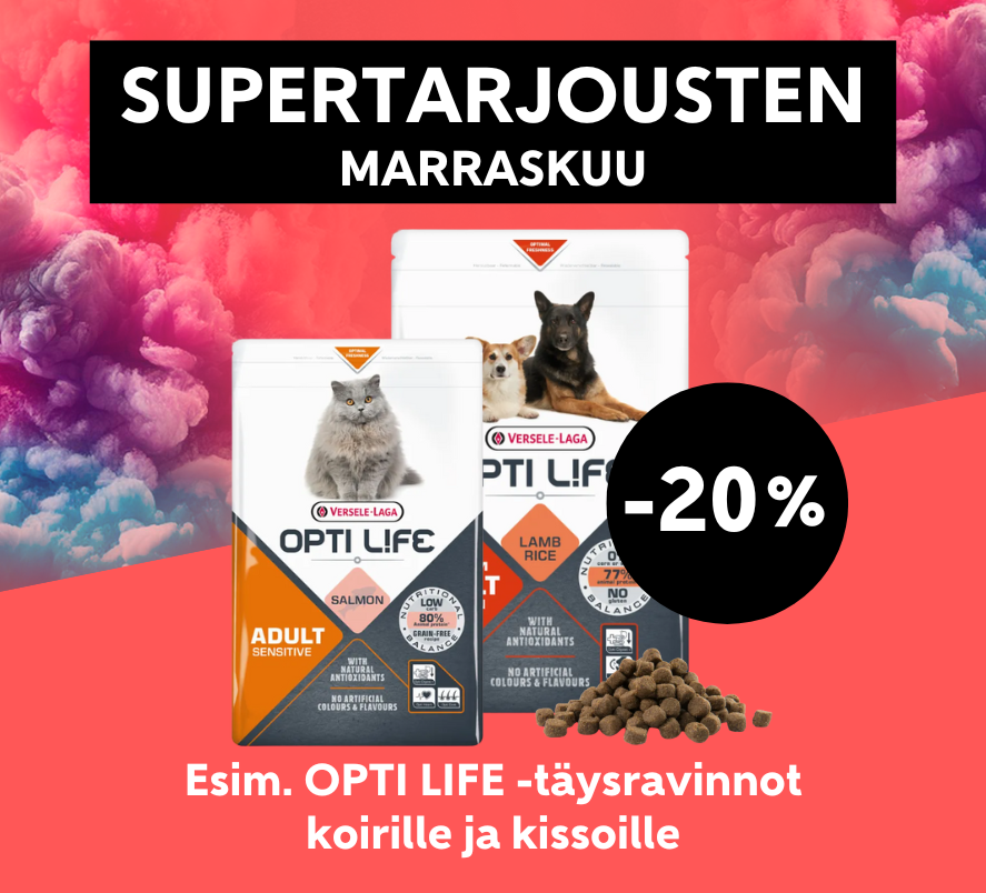 Supertarjousten marraskuu