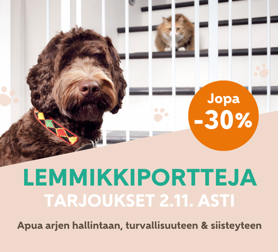 Turvaa kotiin & reissuun