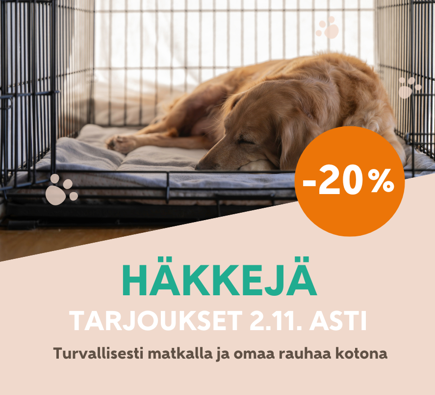 Turvaa kotiin & reissuun