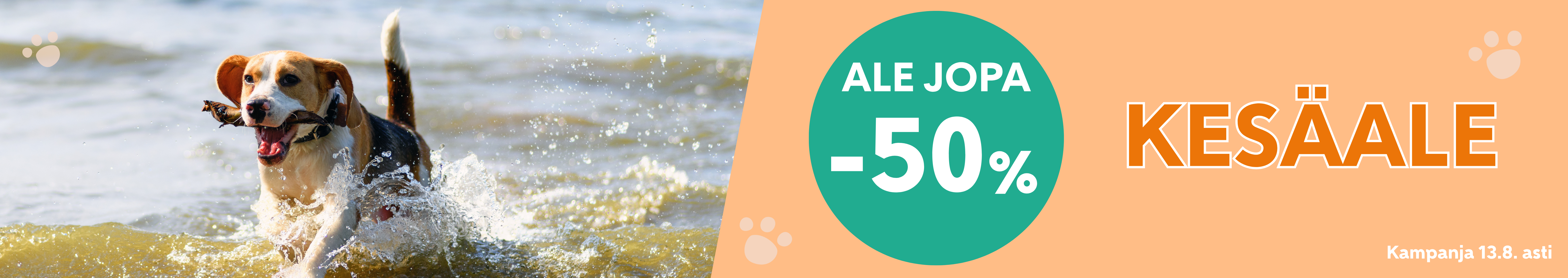 KesäALE