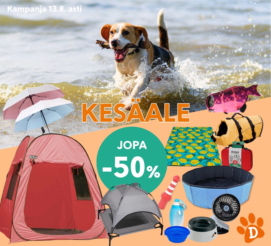 KesäALE