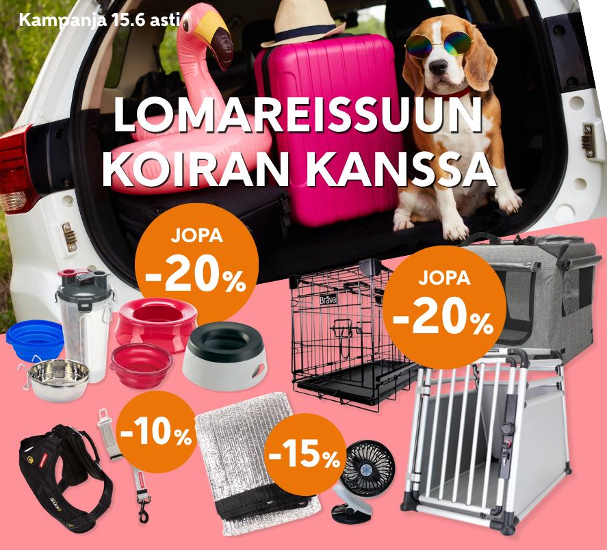 Lomareissuun