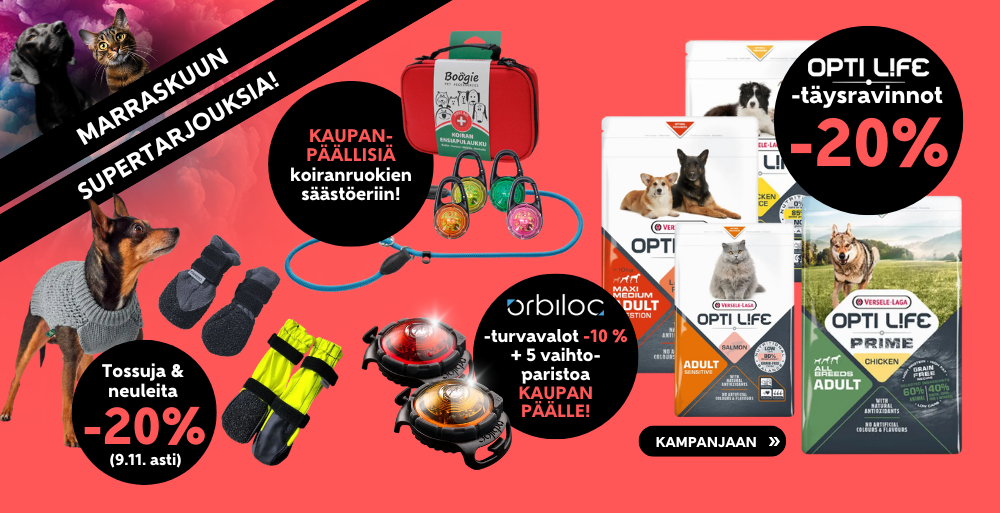 Etusivu, Supertarjousten marraskuu