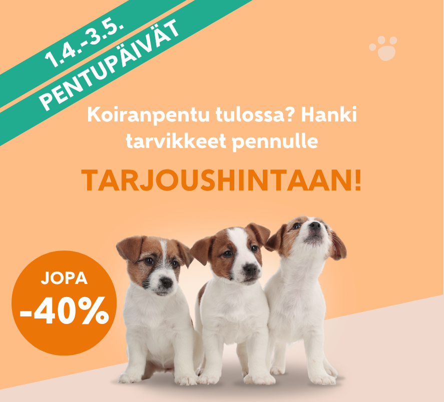 Pentupäivät