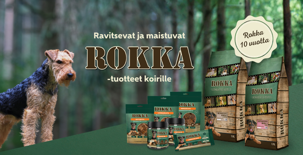 Etusivu, Rokka 10v.
