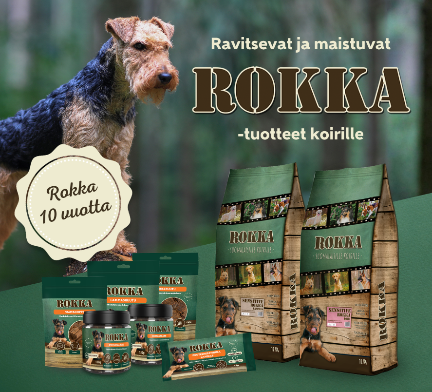 Rokka 10v.
