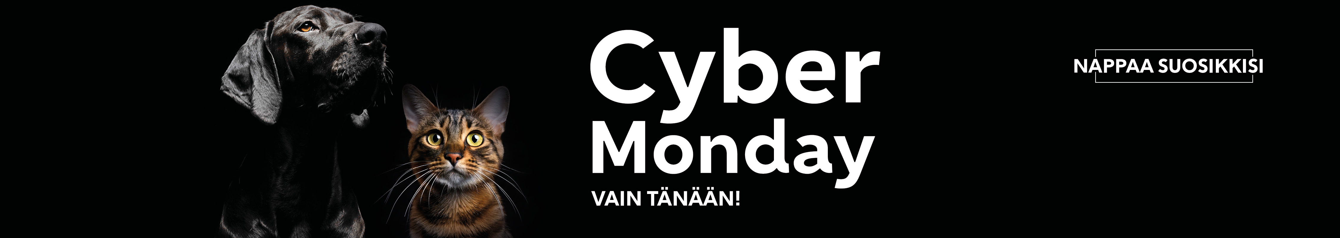 Cyber Monday