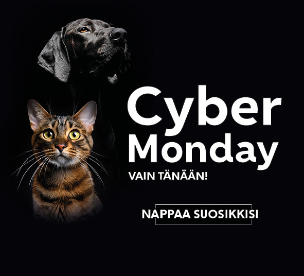 Cyber Monday