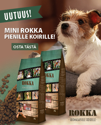 Etusivu, Mini Rokka