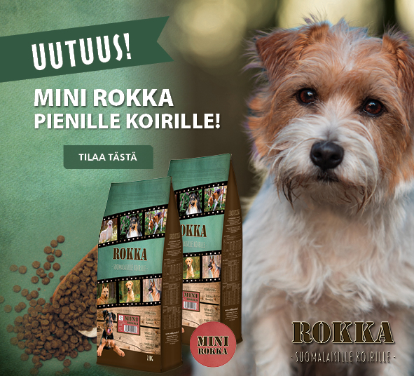 Etusivu, Mini Rokka