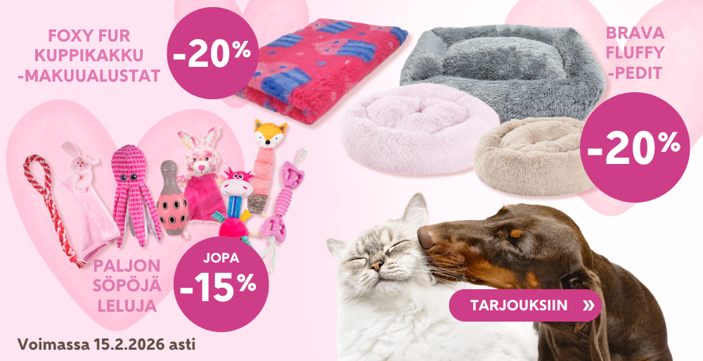 Etusivu, ystävänpäivä