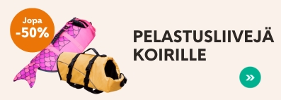 Pelastusliivit