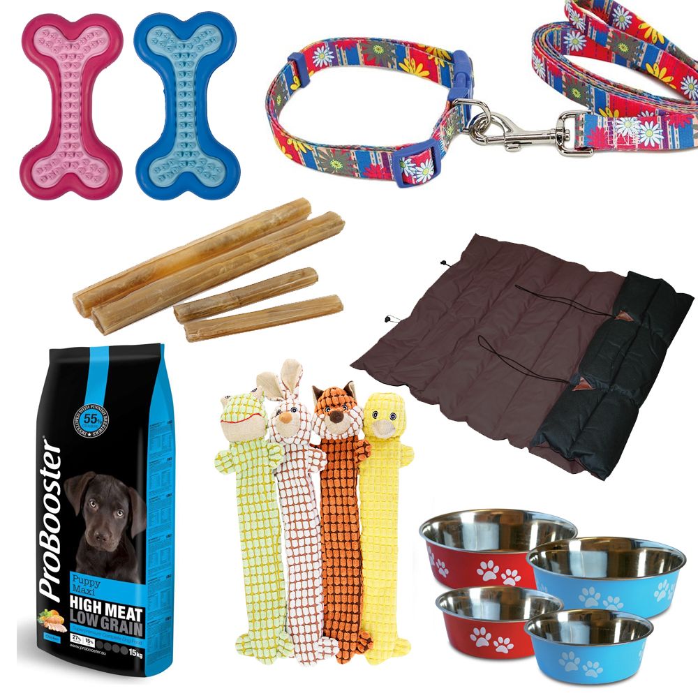 Koiranpennun aloituspakkaus | DreamPetStore
