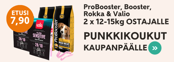 Punkkikoukut