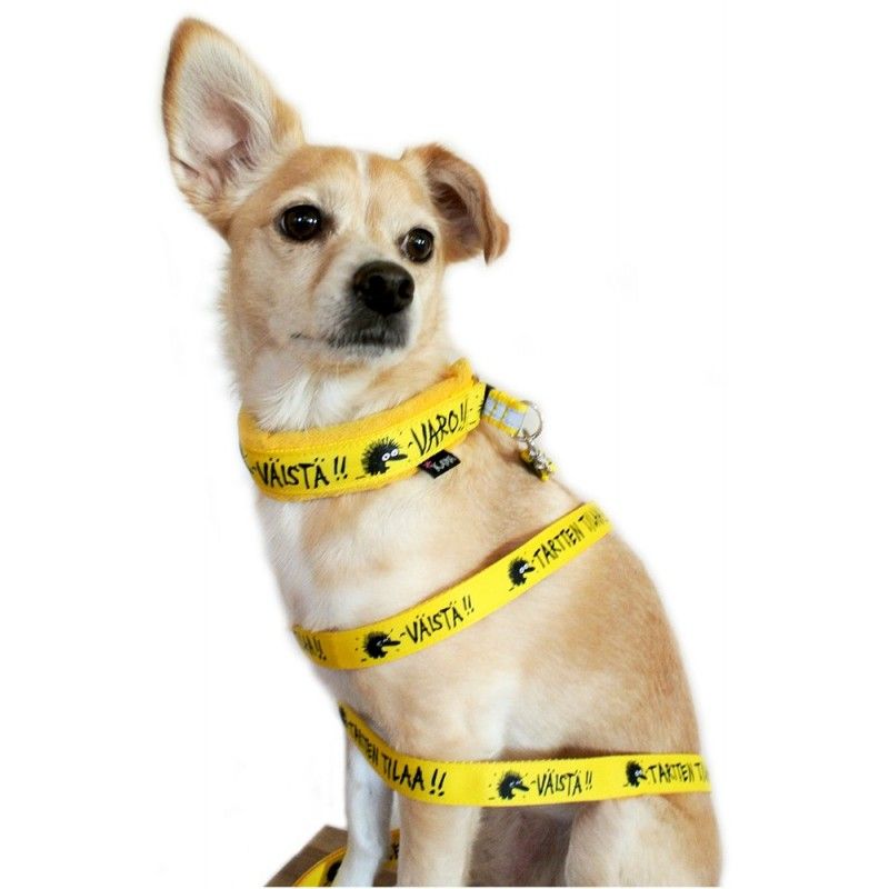 Tartten tilaa hihna | DreamPetStore